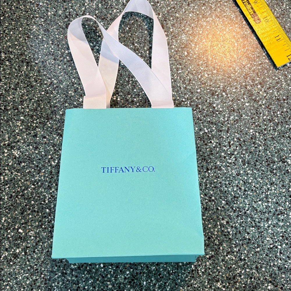 Tiffany & Co. Turquoise Shopping Bag